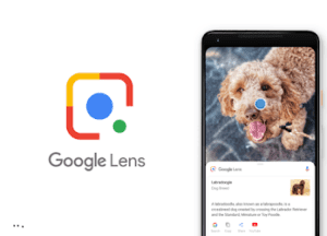 Google AI Lens