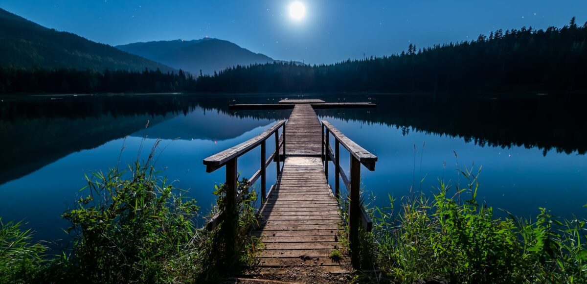 brown wooden dock