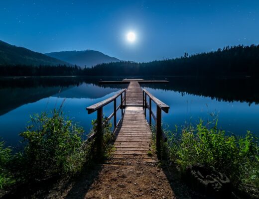 brown wooden dock