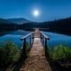 brown wooden dock