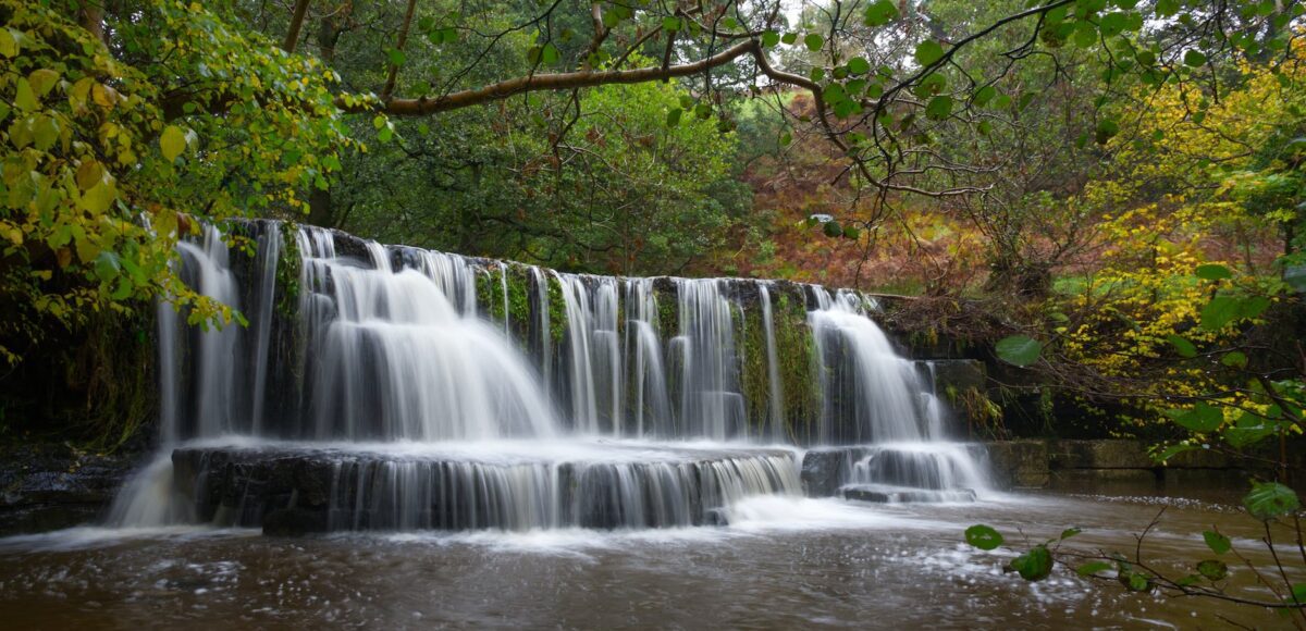 waterfall in forest