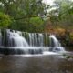 waterfall in forest