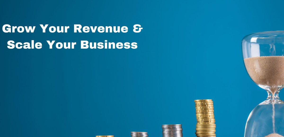 Entrepreneurship, specifically achieving sustained growth and revenue, poses a critical challenge in today's business landscape.